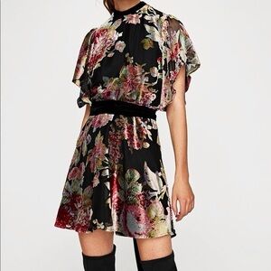 Zara NWT velvet floral minidress